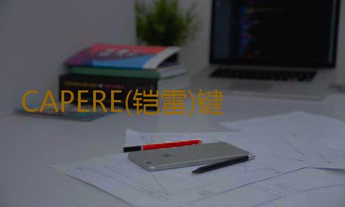 CAPERE(铠雷)键盘垫海绵慢回弹硅胶护腕电脑办公舒适手腕垫手腕托